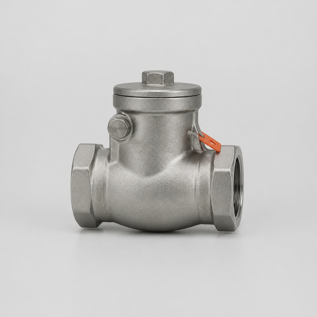 Swing check valves